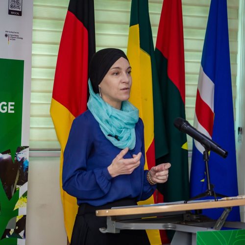 Climate Action requires more than technology, Germany to West African leaders
