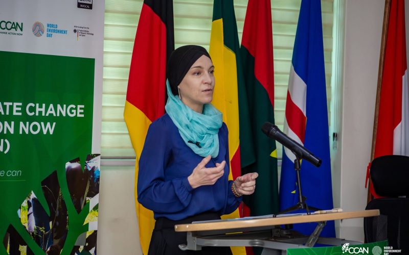 Climate Action requires more than technology, Germany to West African leaders