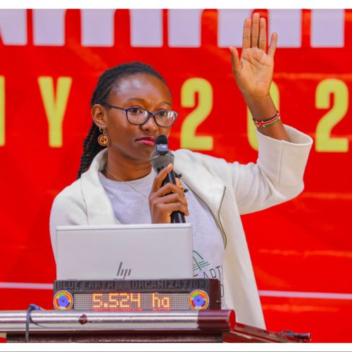 Spotlight mangrove solutions to protect Africa’s climate – Joyce Koech urges media